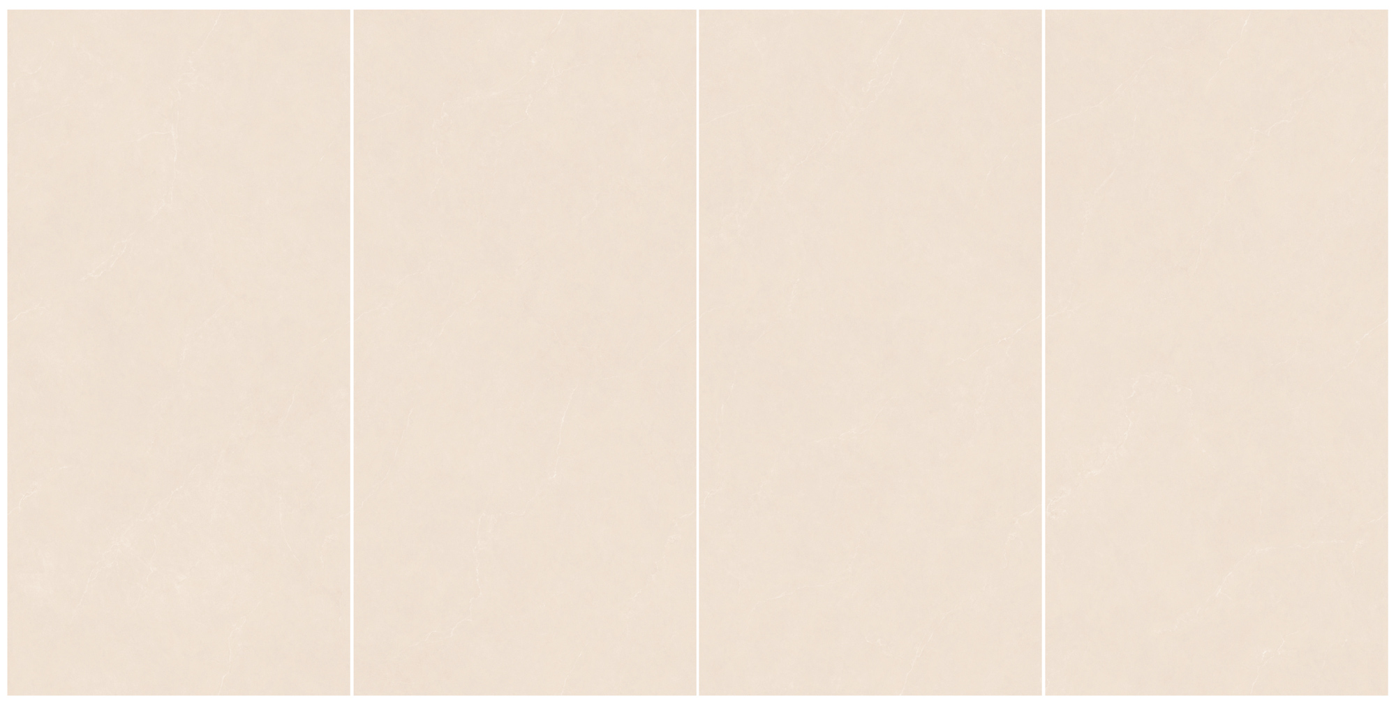 365.jpg